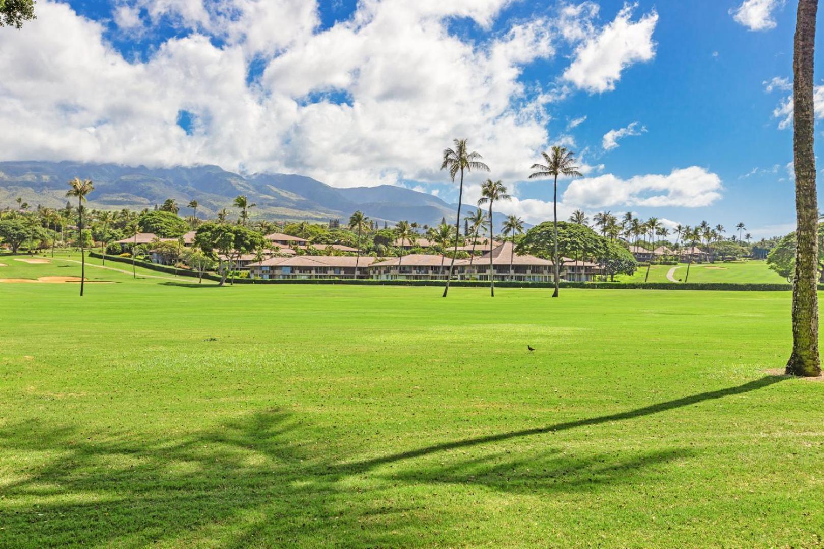 Hotel Maui Eldorado - J-106 - Walk-Out Ocean Views Kahana Exterior foto